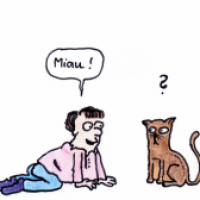 Miau!