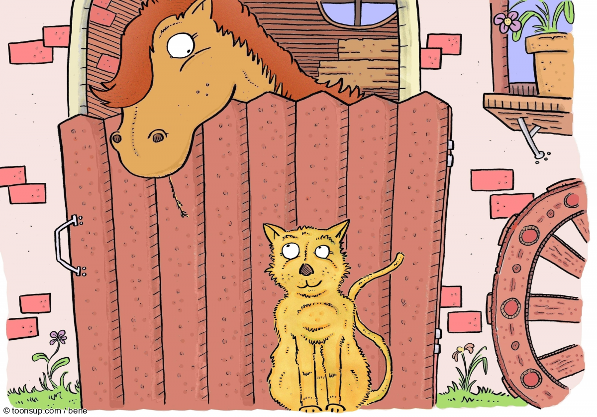 Buch: Klassenfahrt 4