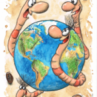 sind überall