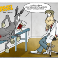 Der Goldesel beim Tierarzt
