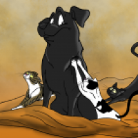 Shadow und seine drei Katzen