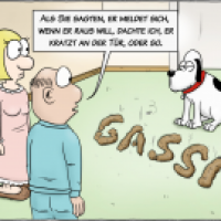 GASSI!