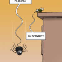 Die Spinnen, die fliegen!