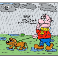 Mistwetter