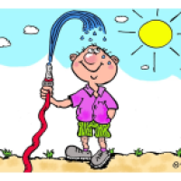 Sommer genießen