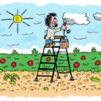 the sky is the limit