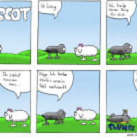 Ausverkauf - Mäscot #34