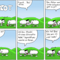 Steve - Mäscot #53