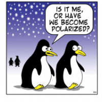 Polarized