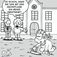 Rasenpflege