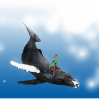 skizze  kölsch wars