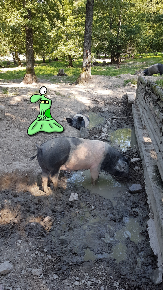 Cartoon: Hessenpark 1