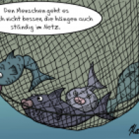 Im Netz