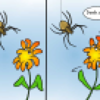 Religiöse Botschaft