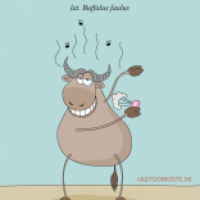 Der Müffel