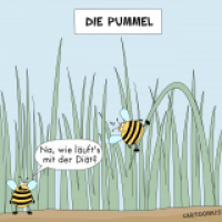 Die Pummel