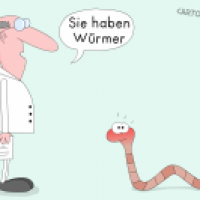 Würmer
