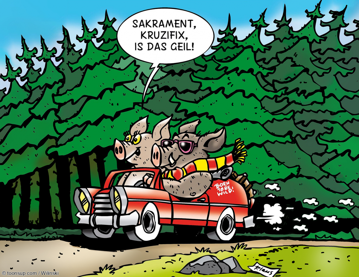 Cartoon: Geil! 1